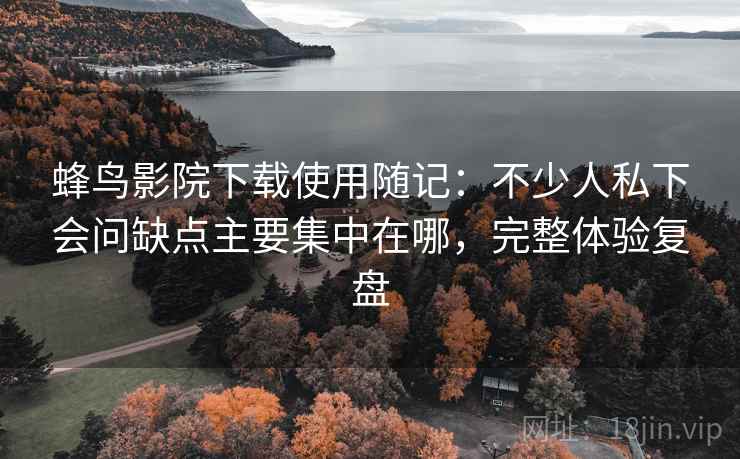 蜂鸟影院下载使用随记：不少人私下会问缺点主要集中在哪，完整体验复盘  第2张