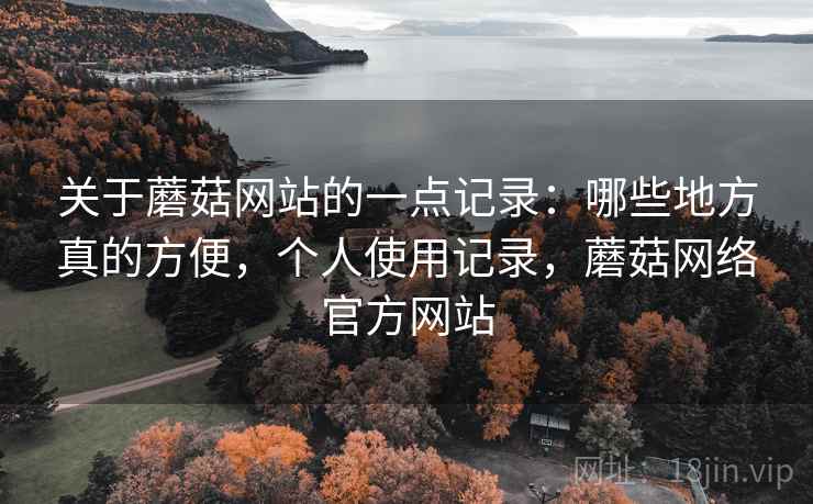 关于蘑菇网站的一点记录:哪些地方真的方便,个人使用记录,蘑菇网络官方网站