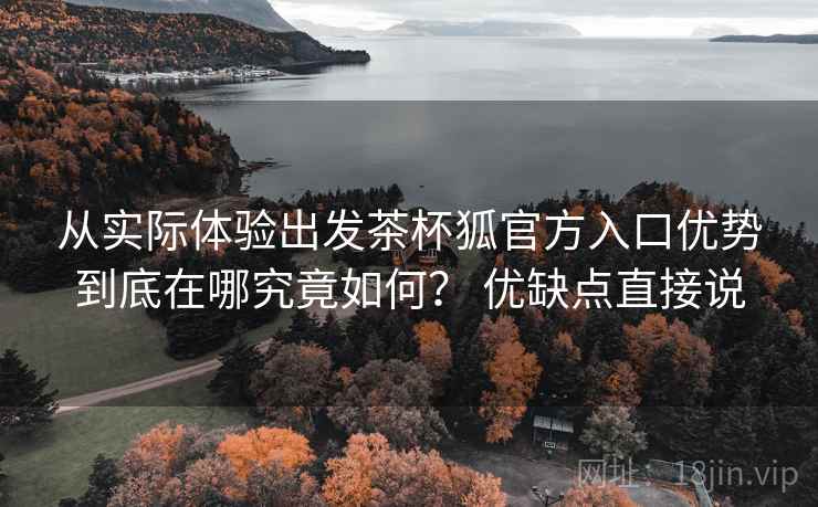 从实际体验出发茶杯狐官方入口优势到底在哪究竟如何? 优缺点直接说