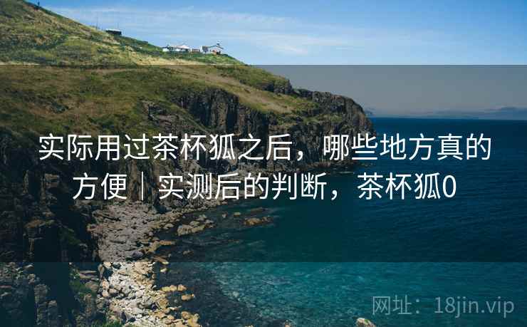 实际用过茶杯狐之后,哪些地方真的方便|实测后的判断,茶杯狐0 第2张 实际用过茶杯狐之后,哪些地方真的方便|实测后的判断,茶杯狐0 第2张
